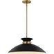 Perkins 1 Light 19.63 inch Matte Black/Burnished Brass Pendant Ceiling Light