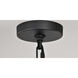 Wilton 1 Light 8.25 inch Matte Black Outdoor Hanging Light