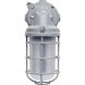 Brentwood LED 12 inch Gray Outdoor Wall Light