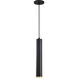 Century LED 2.56 inch Matte Black and Brushed Brass Pendant Ceiling Light