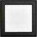 Blink LED 5 inch Black Edge Lit Ceiling Light