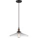 Vintage 1 Light 14 inch Rustic Bronze Pendant Ceiling Light