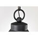 Wilton 1 Light 8.25 inch Matte Black Outdoor Hanging Light