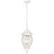 Central Park 3 Light 7 inch White Outdoor Hanging Lantern