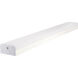 Brentwood 1 Light 120V White LED Strip Fixtures Ceiling Light