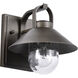 Ridge 8.13 inch Bronze Outdoor Wall Light