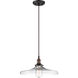 Vintage 1 Light 14 inch Rustic Bronze Pendant Ceiling Light