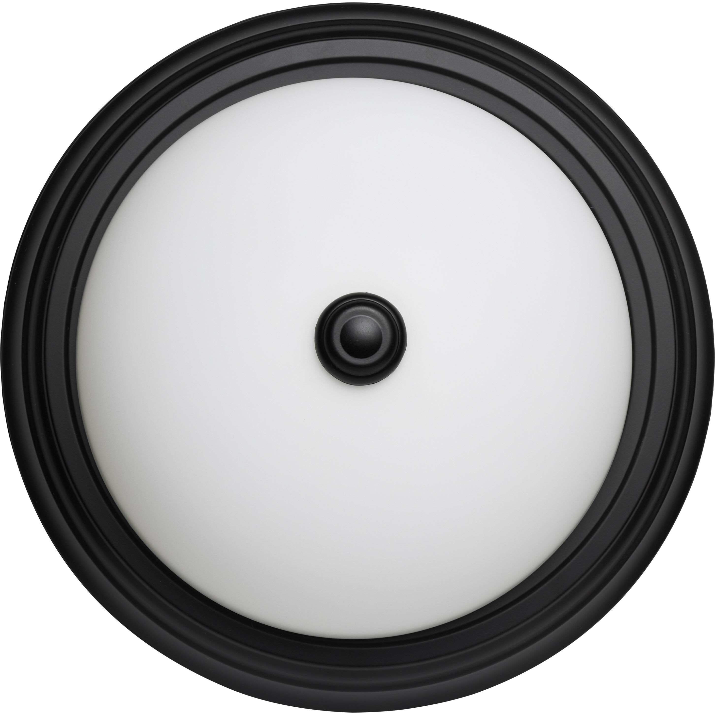 Brentwood 2 Light 13.25 inch Matte Black Flush Mount Ceiling Light