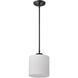 Warren 8 inch Gun Metal Pendant Ceiling Light