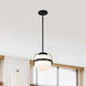Lakeshore 1 Light 10 inch Matte Black Pendant Ceiling Light