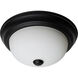 Brentwood 2 Light 11.38 inch Matte Black Flush Mount Ceiling Light