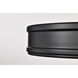 Kendall LED 14.25 inch Matte Black Flush Mount Ceiling Light