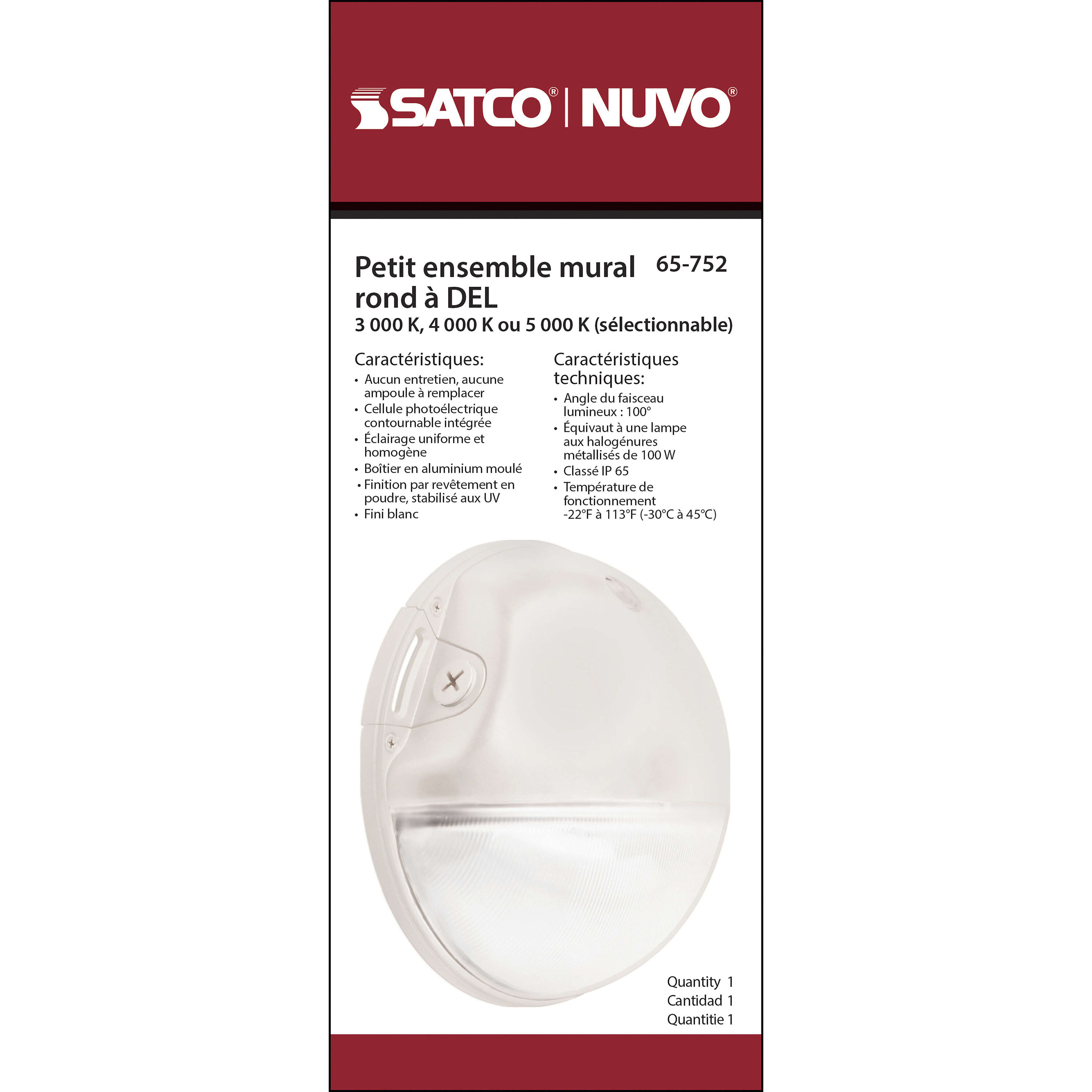 Brentwood LED 9 inch White Outdoor Wall Pack