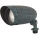 Brentwood 120V 50.00 watt Antique Verdigris Landscape Flood Light