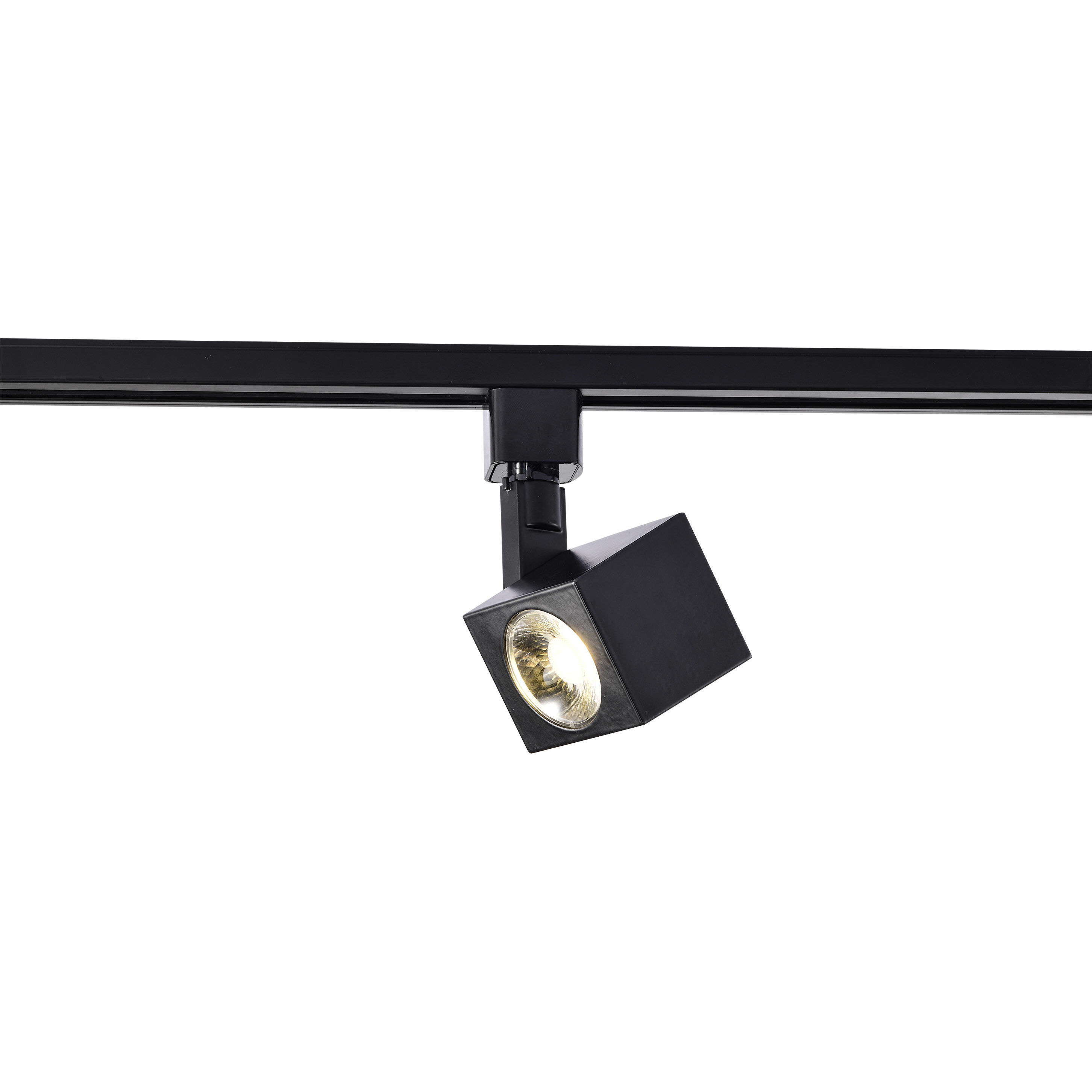 Brentwood 1 Light 120V Black Track Head Ceiling Light