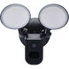 Starfish Outdoor Security Light