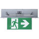 Running Man LED 19.74 inch Brushed Aluminum Exit & Emergency Ceiling Light