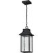 Austen LED Matte Black Outdoor Hanging Fixture