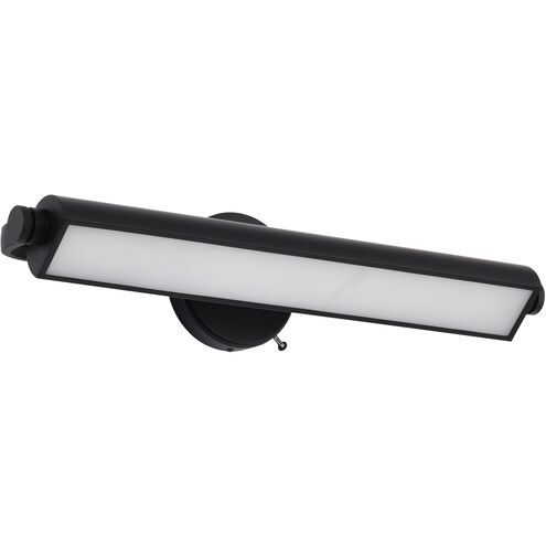 Auden LED 23.5 inch Black Vanity Wall Light