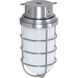 Brentwood 1 Light 6 inch Metallic Silver Outdoor Ceiling Mount