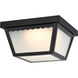 Brentwood LED 9 inch Black Outdoor Flush Mount