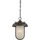 Tulsa LED 10 inch Mahogany Bronze Outdoor Hanging Light
