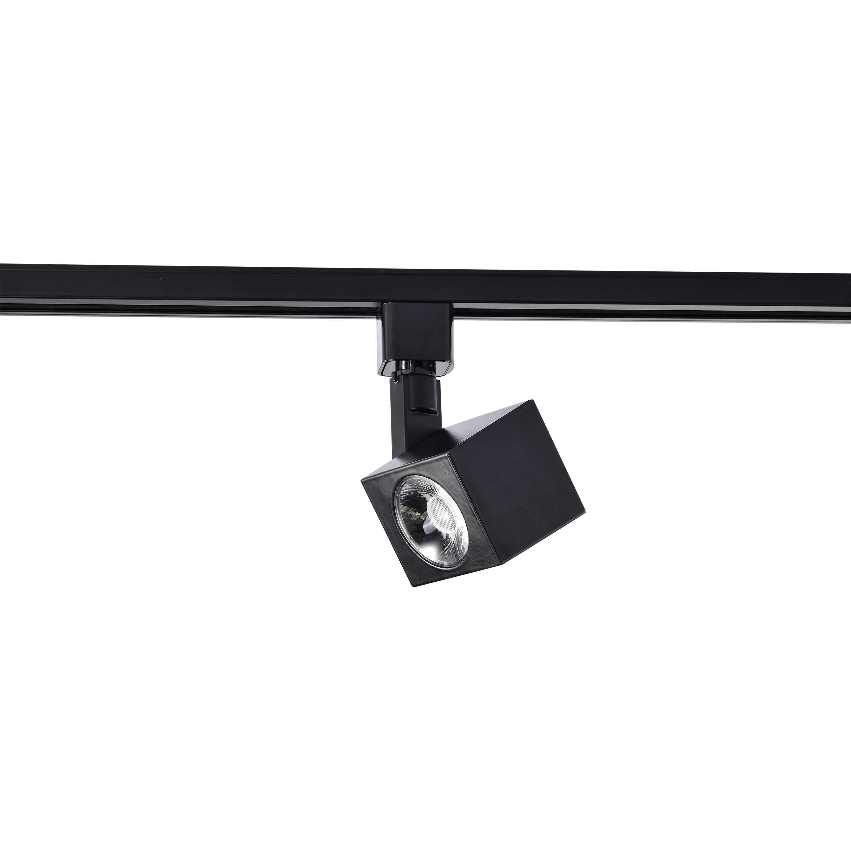 Brentwood 1 Light 120V Black Track Head Ceiling Light
