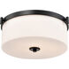 Liam 16.63 inch Matte Black Flush Mount Ceiling Light