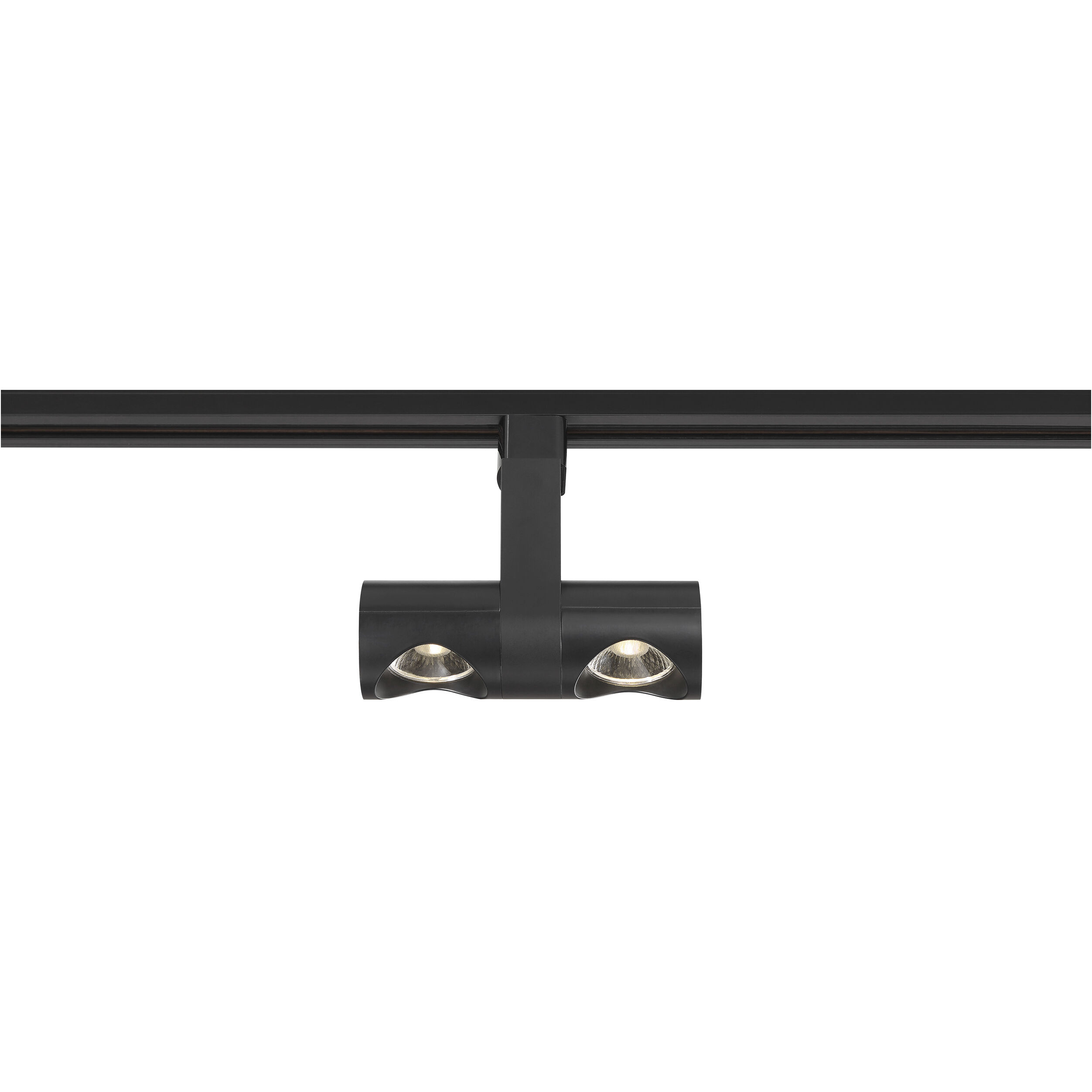 Dual Pipe 120 Black Track Head Ceiling Light