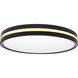 Brentwood LED 14.37 inch Matte Black Close-to-Ceiling Ceiling Light