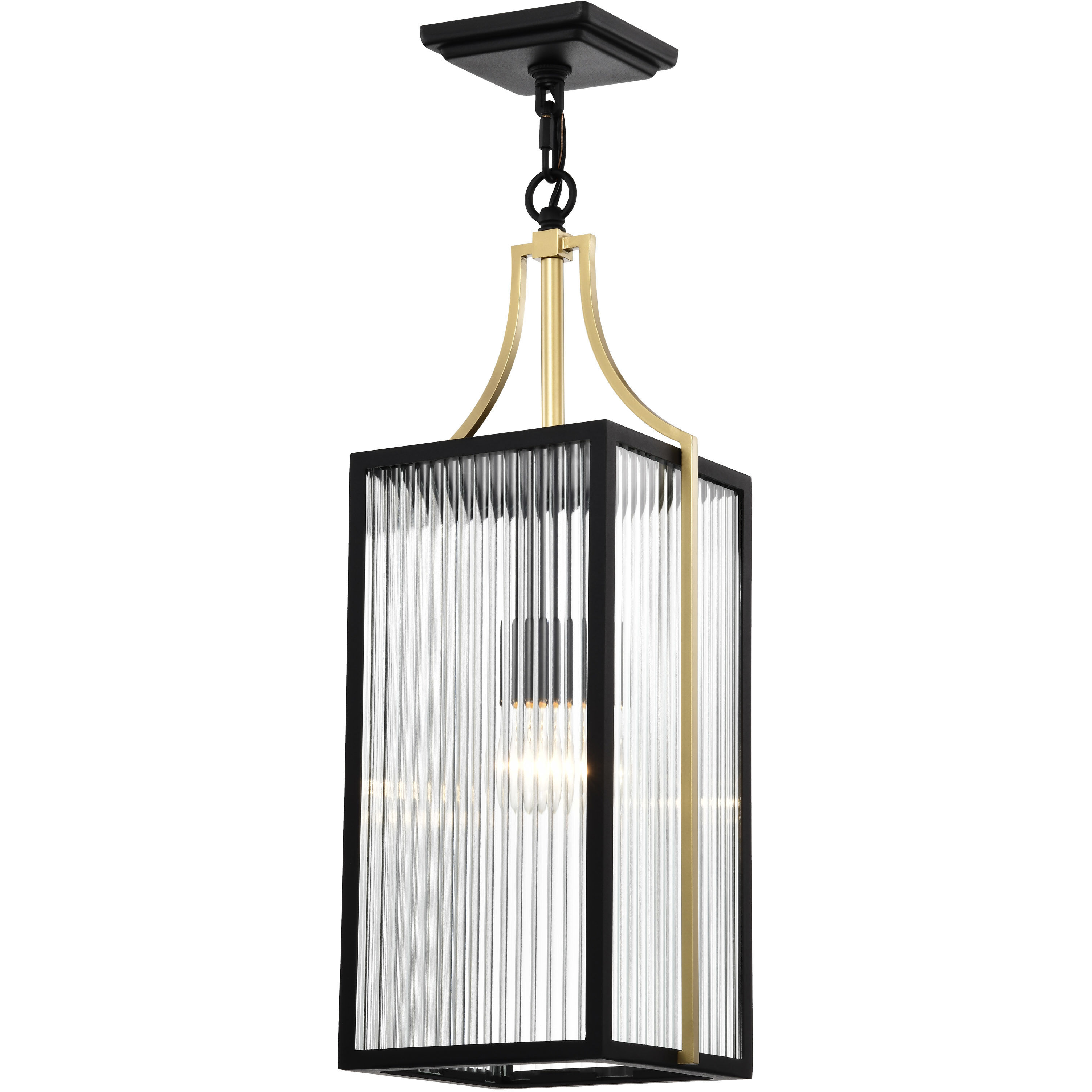 Holden 8.5 inch Black and Gold Outdoor Hanging Light