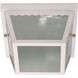 Brentwood 2 Light 9 inch White Outdoor Flushmount