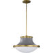 Lafayette 1 Light 18 inch Matte Gray Pendant Ceiling Light