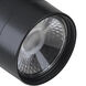 Brentwood 1 Light 120V Black Track Head Ceiling Light