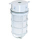 Brentwood 1 Light 4 inch White Outdoor Ceiling Mount