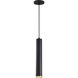 Century LED 2.56 inch Matte Black and Brushed Brass Pendant Ceiling Light
