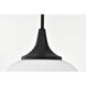 Solara 12 inch Matte Black Pendant Ceiling Light