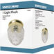 Brentwood 1 Light 5 inch Polished Brass and Clear Pineapple Flush Mount Ceiling Light