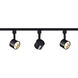 Brentwood 3 Light 120V Black Track Kit Ceiling Light