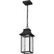 Austen LED Matte Black Outdoor Hanging Fixture