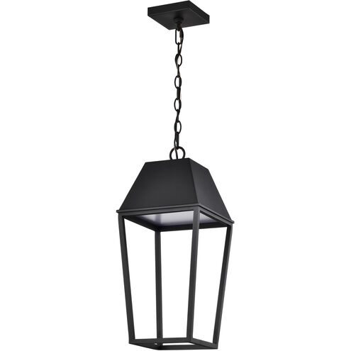 Colt LED 9.5 inch Matte Black Outdoor Hanging Light