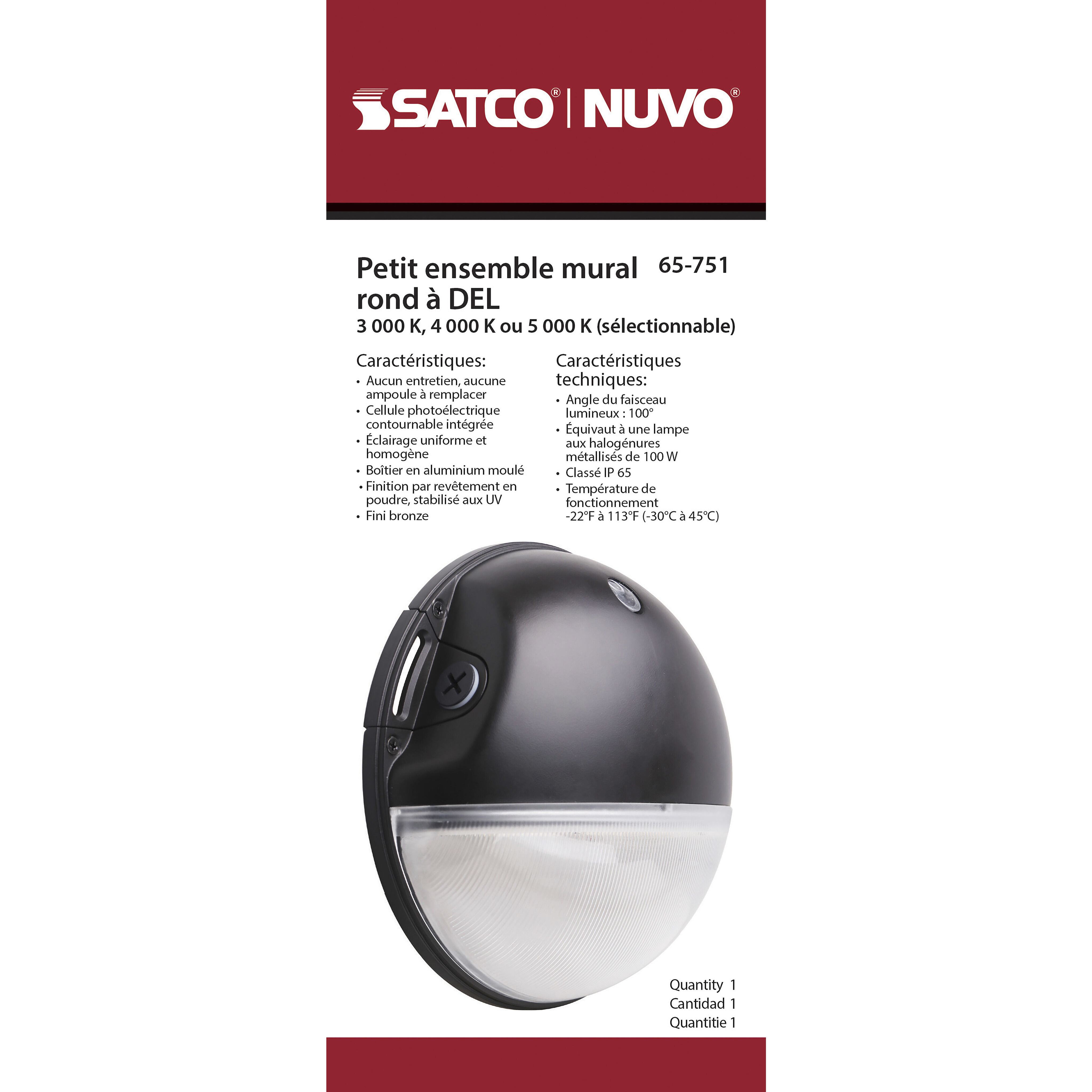 Brentwood LED 9 inch Bronze Outdoor Wall Pack