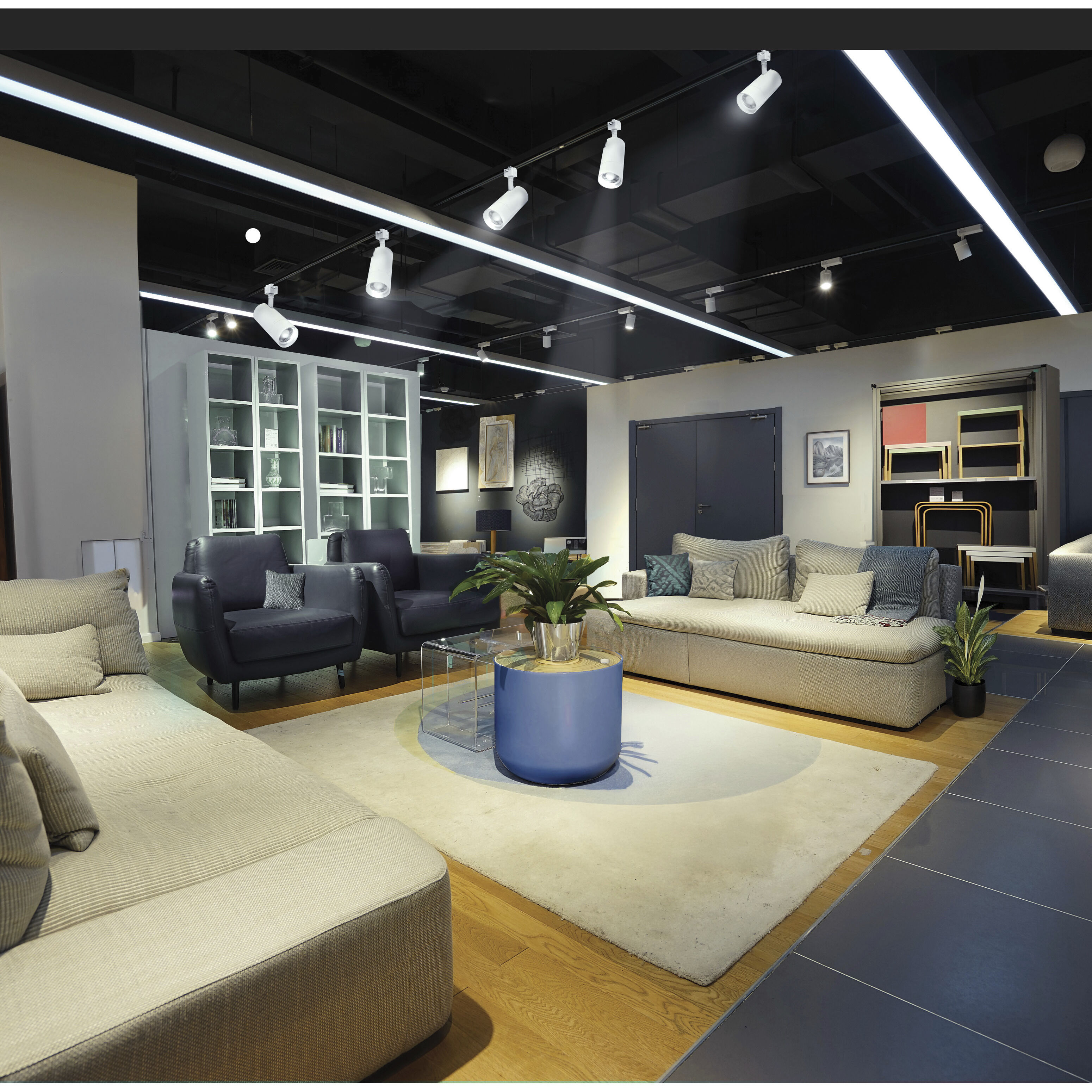 ColorQuick 120 Matte White Track Lighting Ceiling Light