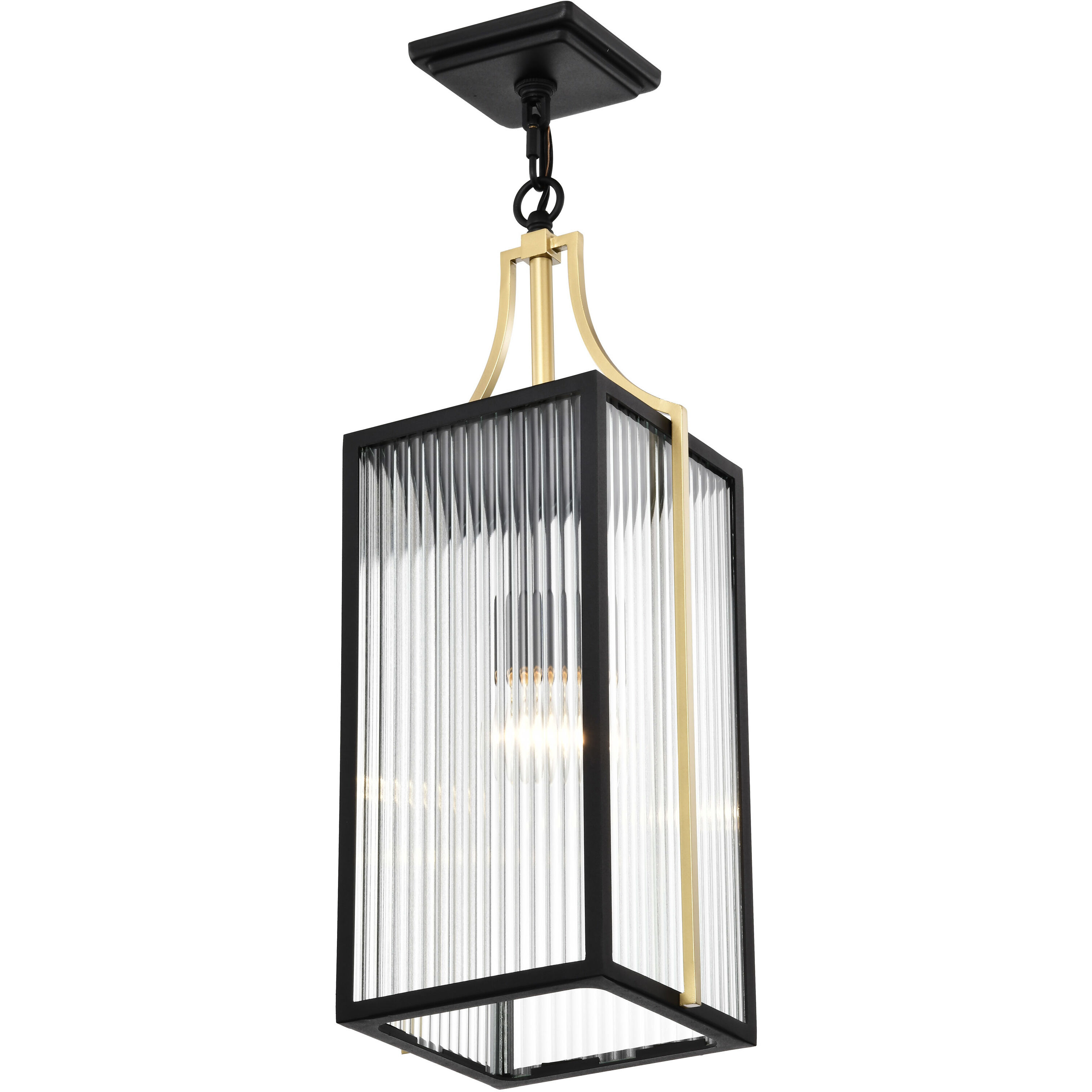 Holden 8.5 inch Black and Gold Outdoor Hanging Light