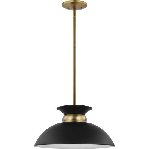 Perkins 1 Light 15 inch Matte Black/Burnished Brass Pendant Ceiling Light