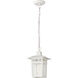 Cove Neck 1 Light 7 inch White Outdoor Hanging Lantern