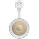 ColorQuick 120 Matte White Track Lighting Ceiling Light