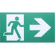 Running Man LED 13 inch White Exit & Emergency Ceiling Light