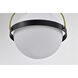 Lakeshore 1 Light 18 inch Matte Black Pendant Ceiling Light