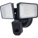 Starfish Outdoor Security Light